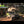 Load and play video in Gallery viewer, Ironman 4x4 Roof Top Tent