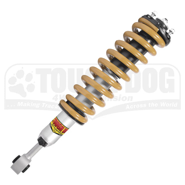 Shock Strut Assembly