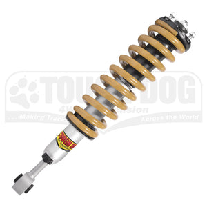 Shock Strut Assembly